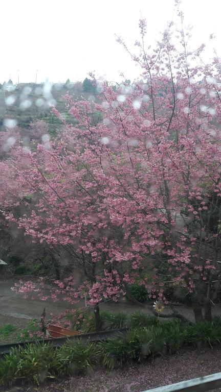 Qing Jing Xiao Taiyang Jingguan Homestay เหรินอ้าย ภายนอก รูปภาพ