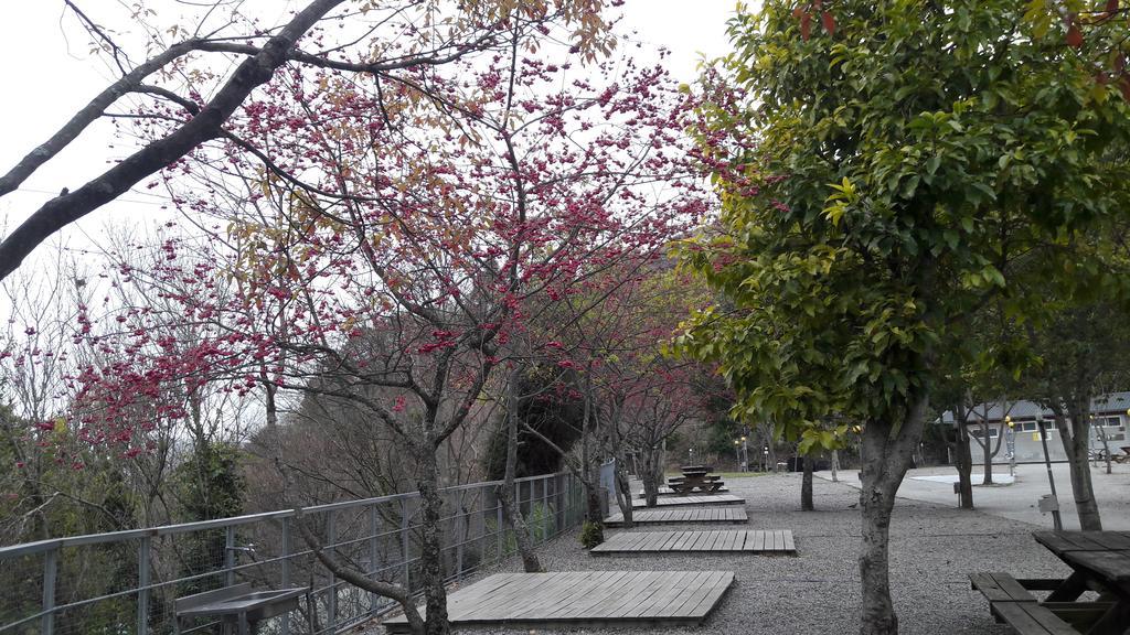 Qing Jing Xiao Taiyang Jingguan Homestay เหรินอ้าย ภายนอก รูปภาพ