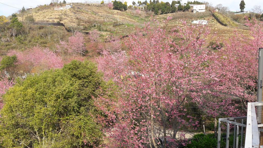 Qing Jing Xiao Taiyang Jingguan Homestay เหรินอ้าย ภายนอก รูปภาพ
